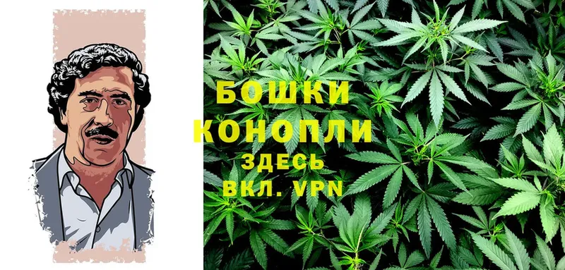 как найти наркотики  Ирбит  Каннабис White Widow 